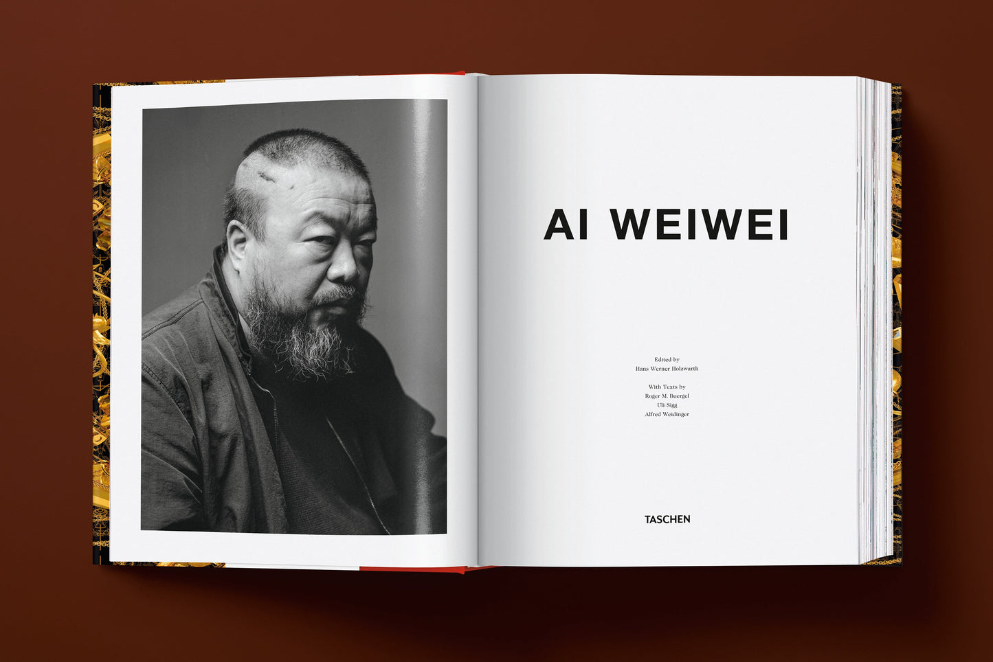 Ai Weiwei. Updated Edition (German, French, English) Book