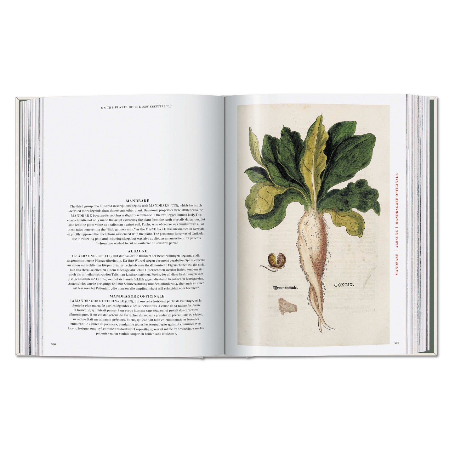 Leonhart Fuchs. The New Herbal (German, French, English) Book