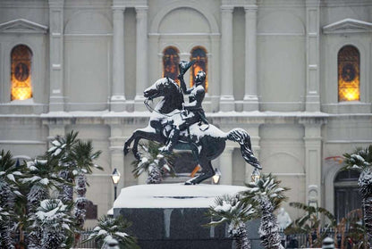 So Much Snow! A Joyous Celebration of the 2025 Louisiana Snowstorm Book
