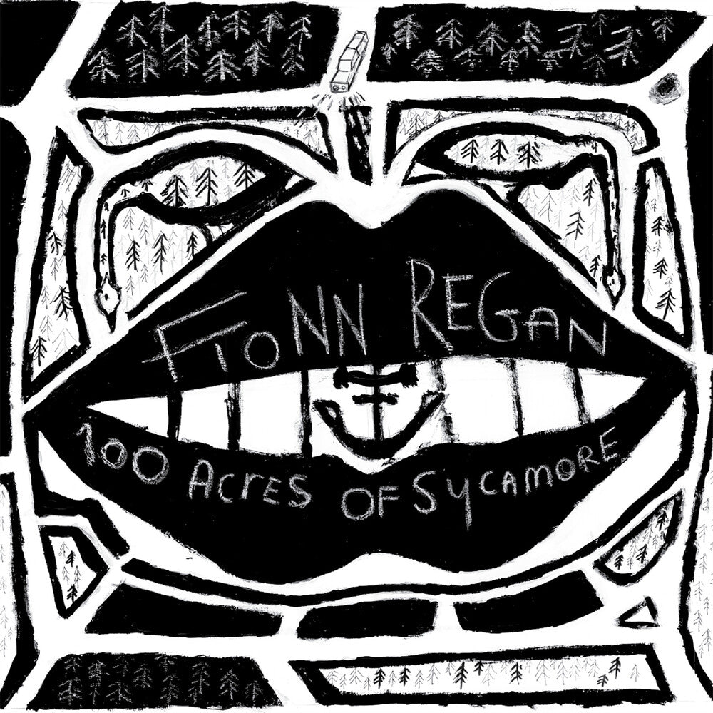 Fionn Regan - 100 Acres Of Sycamore [LP] Vinyl Record