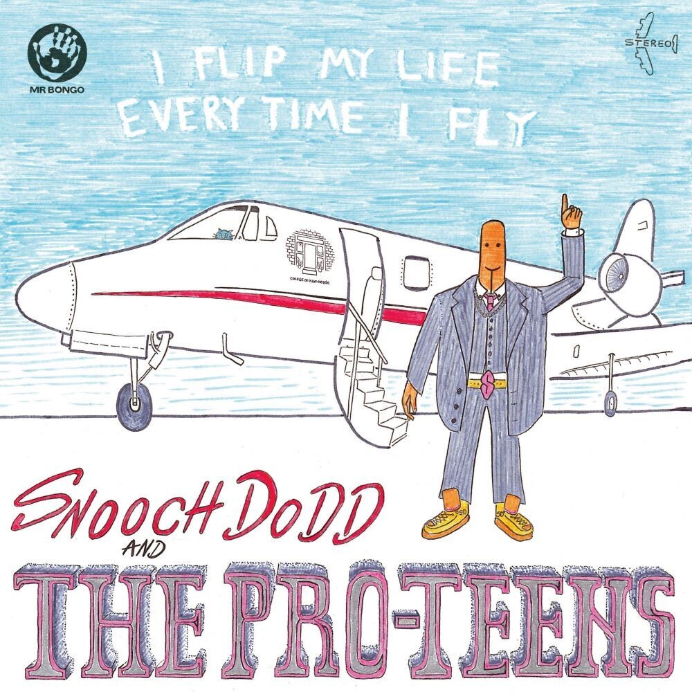 Pro-Teens - I Flip My Life Every Time I Fly [LP] Vinyl Record