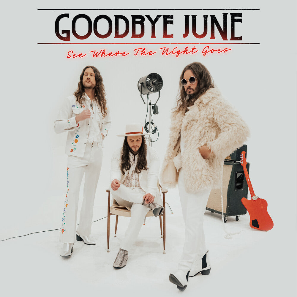 See Where The Night Goes [LP] Vinyl Record