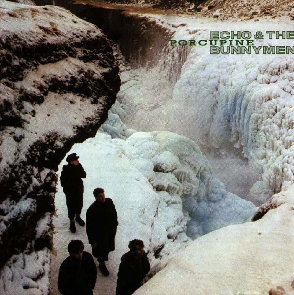 Porcupine [Rocktober 2021 LP] Vinyl Record