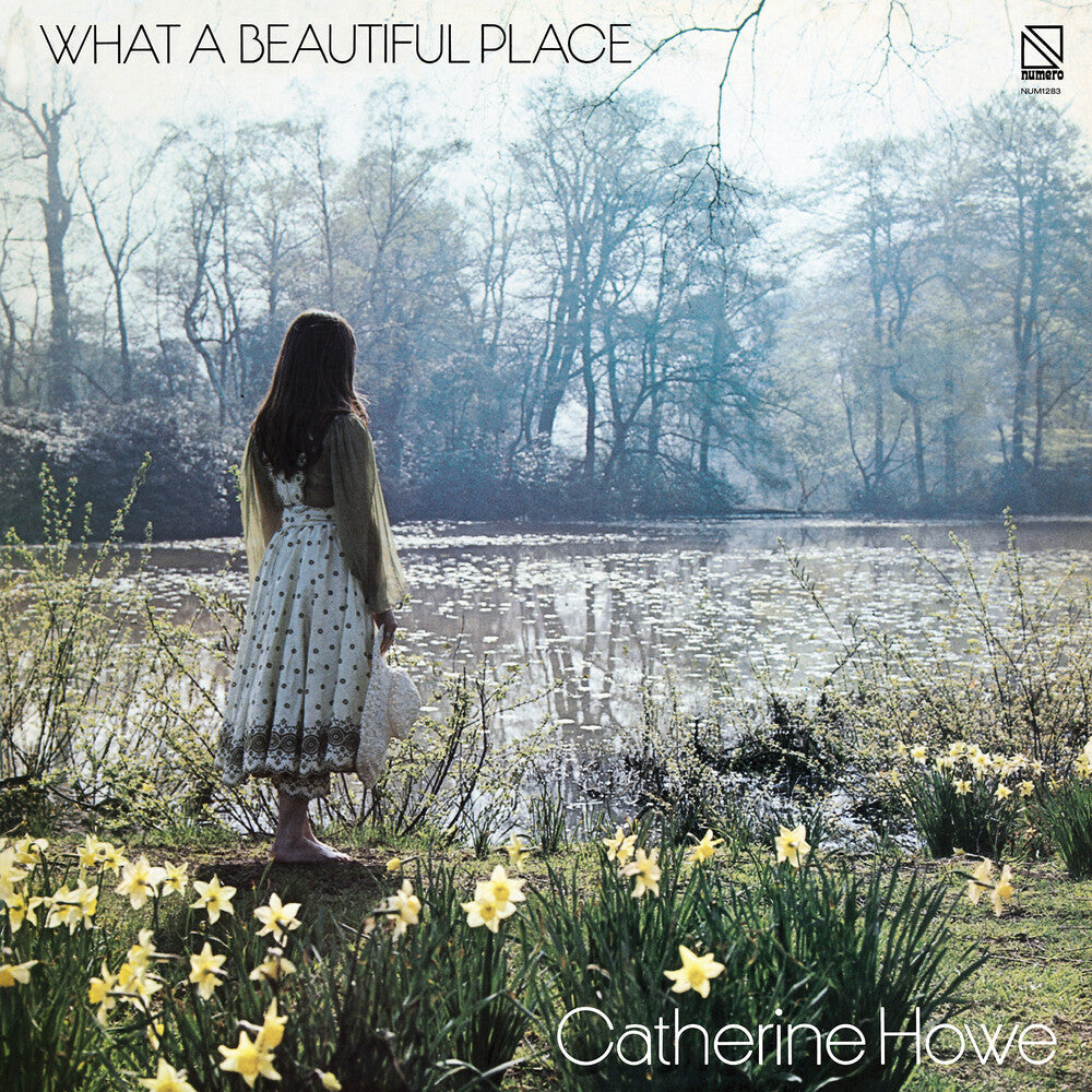 What a Beautiful Place [Yellow LP] Vinyl Record