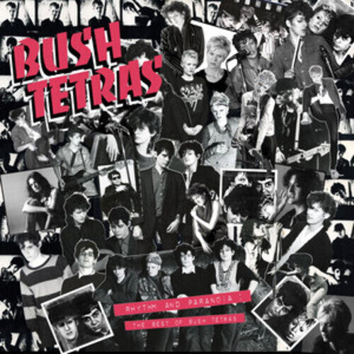 Bush Tetras - Rhythm & Paranoia: The Best of Bush Tetras [3LP] Vinyl Record