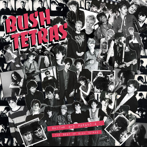 Bush Tetras - Rhythm & Paranoia: The Best Of Bush Tetras - Vinyl Record