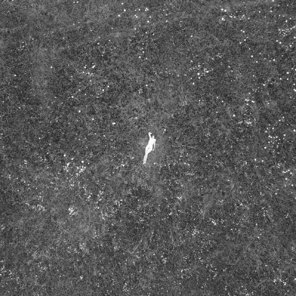 Birds Of Passage - Last Of Garden [180 Gram] [Download Included] Vinyl Record