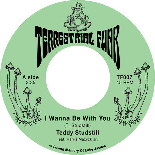 I Wanna Be With You / There Comes A Time Vinyl Record