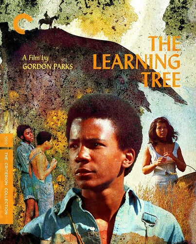 Criterion Collection - Learning Tree, The Dvd - DVD