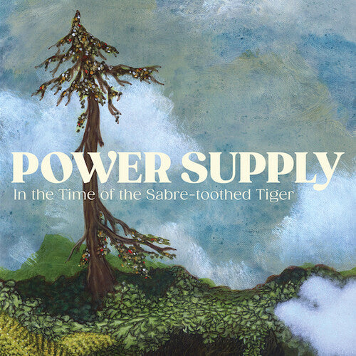Power Supply - In The Time Of The Sabre-toothed Tiger Vinyl Record