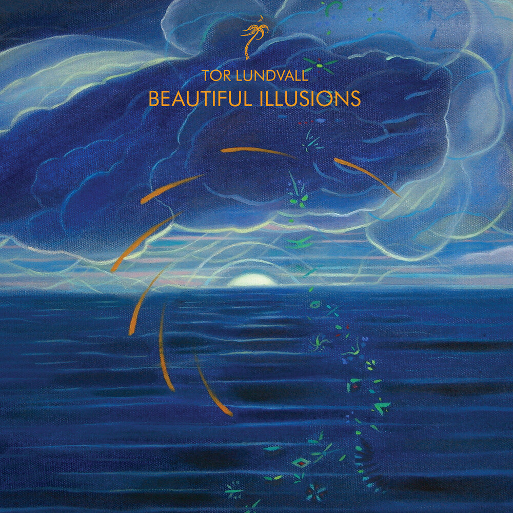 Beautiful Illusions [Black LP] Vinyl Record
