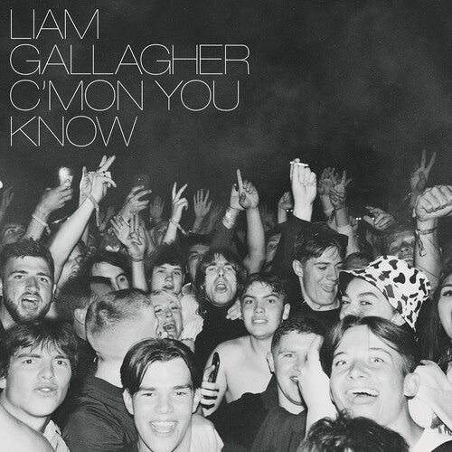 Liam Gallagher - C'mon You Know Vinyl Record