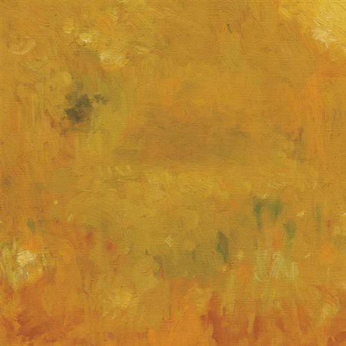 the album cover for Bevel - Where Leaves Block the Sun