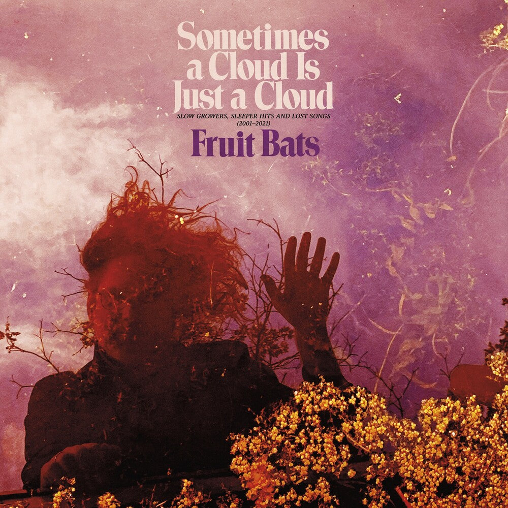 Fruit Bats - Sometimes a Cloud Is Just a Cloud: Slow Growers, Sleeper Hits and Lost Songs (2001–2021) [Indie Exclusive Deluxe 2LP] Vinyl Record