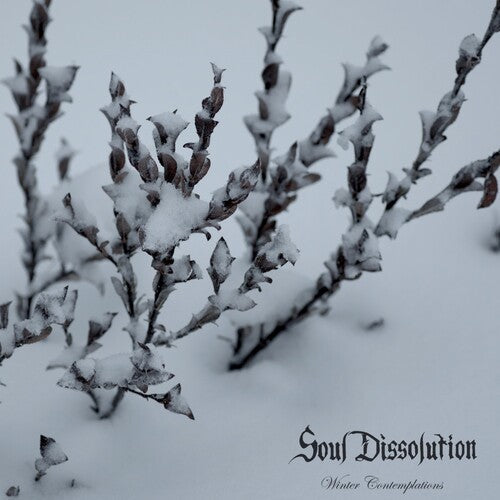 Winter Contemplations Vinyl Record