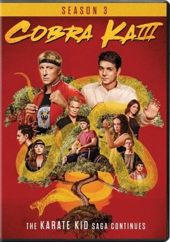 Cobra Kai: Season 3 - Cobra Kai: Season 3 - DVD