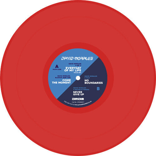David Morales - Rise Album Sampler Vinyl Record
