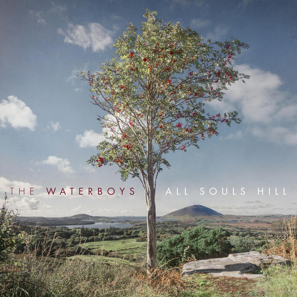 the album cover for The Waterboys - All Souls Hill