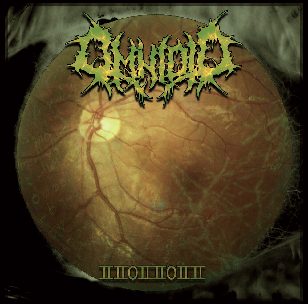 the album cover for Omnioid - 22022022