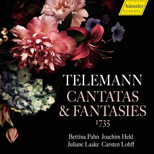 Telemann / Pahn / Lohff - Cantatas & Fantasias - Music CD