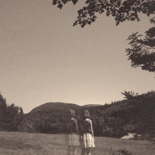 Goldmund - Malady Of Elegance - Vinyl Record