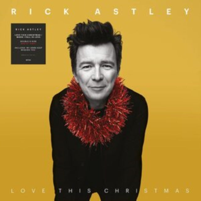 Love This Christmas / When I Fall In Love Vinyl Record