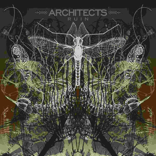 Architects - Ruin (Can) [LP] Vinyl Record