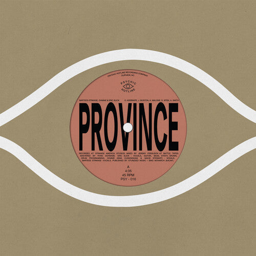 Bartees Strange - Province / Ever New Vinyl Record