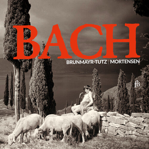 Bach,j.s. / Mertin / Leonhardt - Flute Sonatas - Music CD