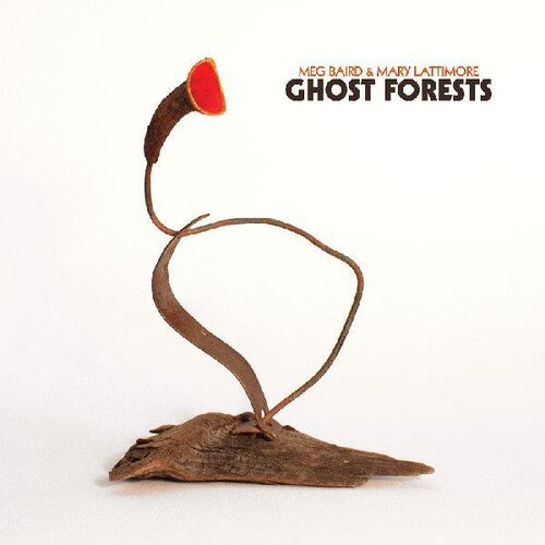 Baird,meg / Lattimore,mary - Ghost Forests - Vinyl Record