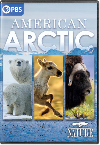 Nature: American Arctic - Nature: American Arctic - DVD