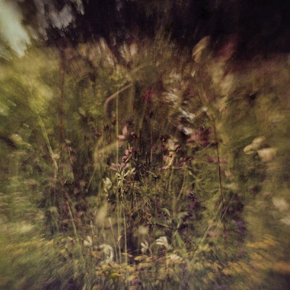 the album cover for Pluralone - Wile B/W Remembered [Purple Vinyl Single]