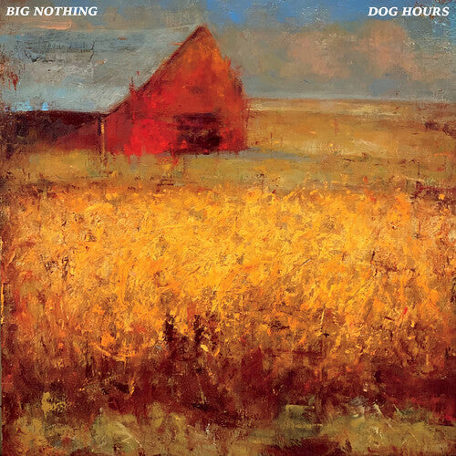 Big Nothing - Dog Hours (transparent Blue) Vinyl Record