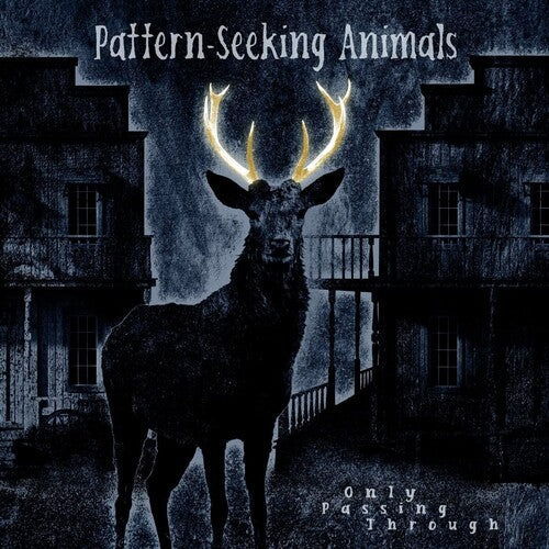Pattern-Seeking Animals - Only Passing Through Vinyl Record