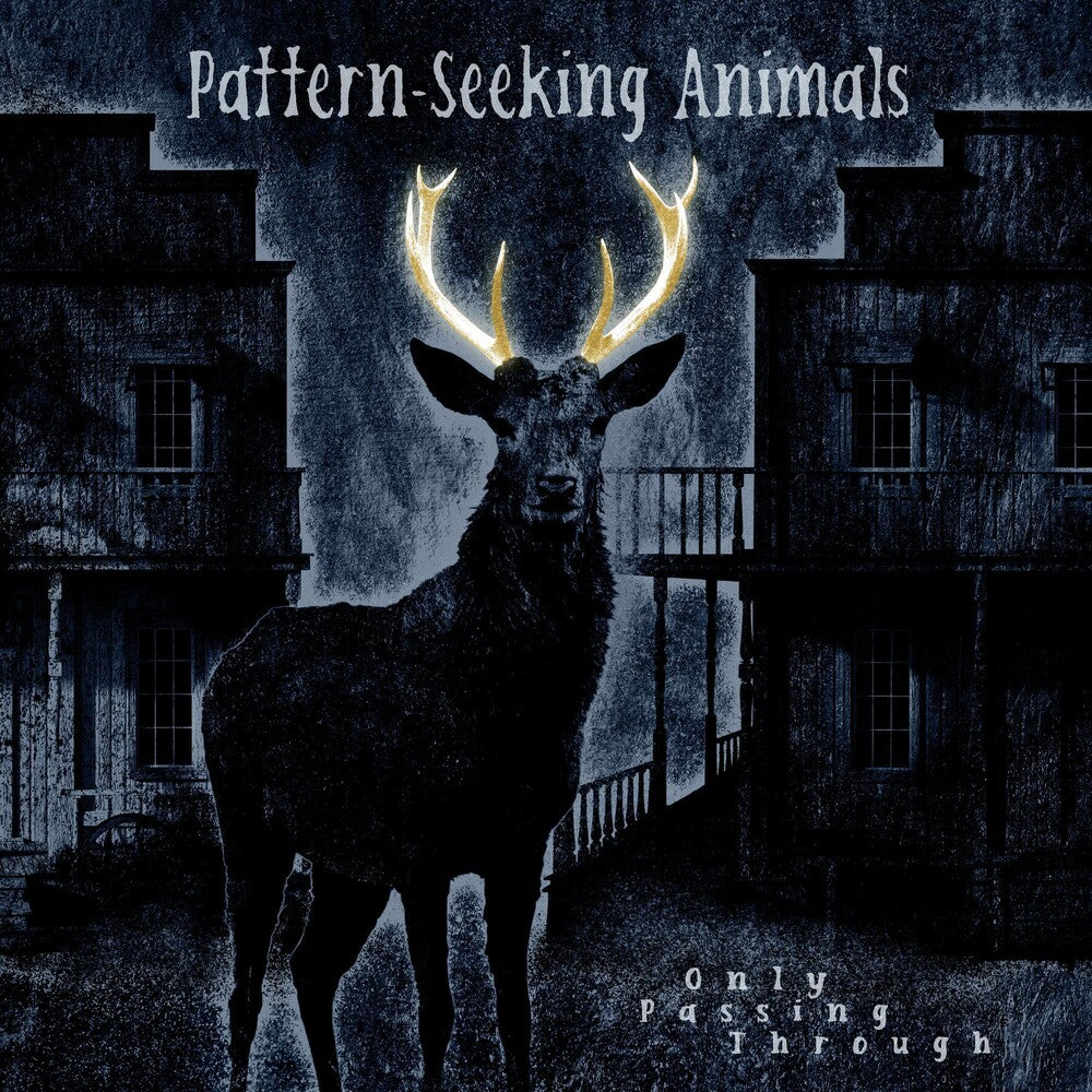 Pattern-Seeking Animals - Only Passing Through [2LP/CD] Vinyl Record