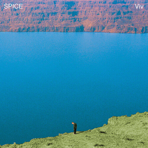 Spice - Viv Vinyl Record