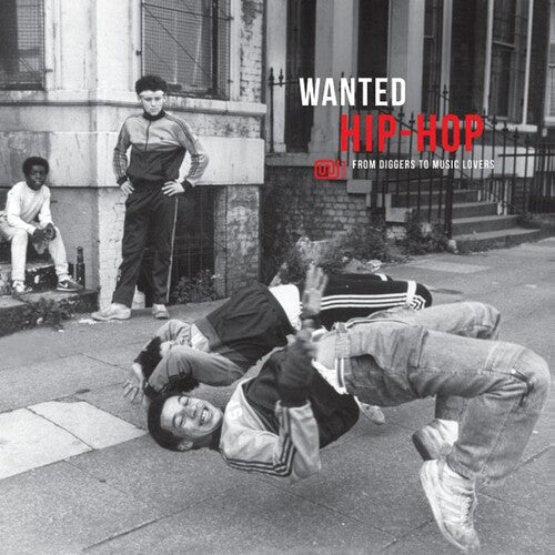 Various Artists - Wanted Hip-Hop Vinyl Record