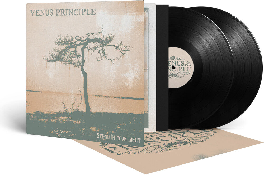 Stand In Your Light (Gate) [LP] Vinyl Record