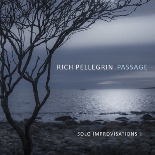 Pellegrin,rich - Passage: Solo Improvisations Ii - Music CD