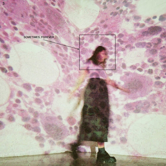 the album cover for Soccer Mommy - Sometimes, Forever
