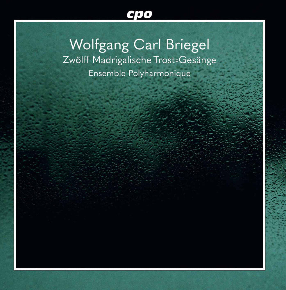 the album cover for Briegel / Ensemble Polyharmonique / Eichhorn - Zwolff Madrigalische