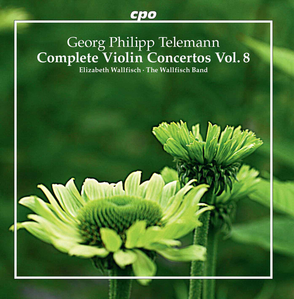the album cover for Telemann / Wallfisch / Curzon / Takeuchi - Complete Violin Conc