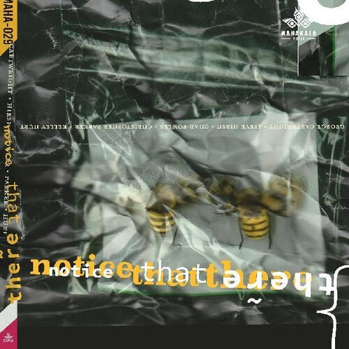 Cartwright,george / Hirsh,steve / Fowler,chad - Notice That There - Music CD