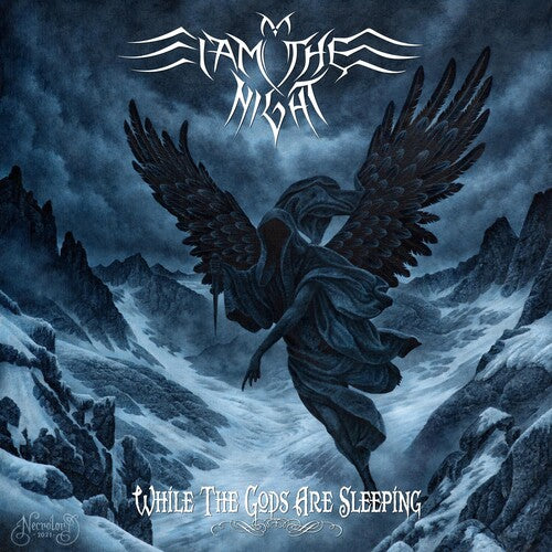 I Am The Night - While The Gods Are Asleep - Vinyl Record
