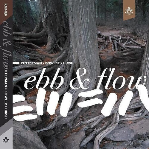 Futterman,joel / Fowler,chad / Hirsh,steve - Ebb & Flow - Music CD