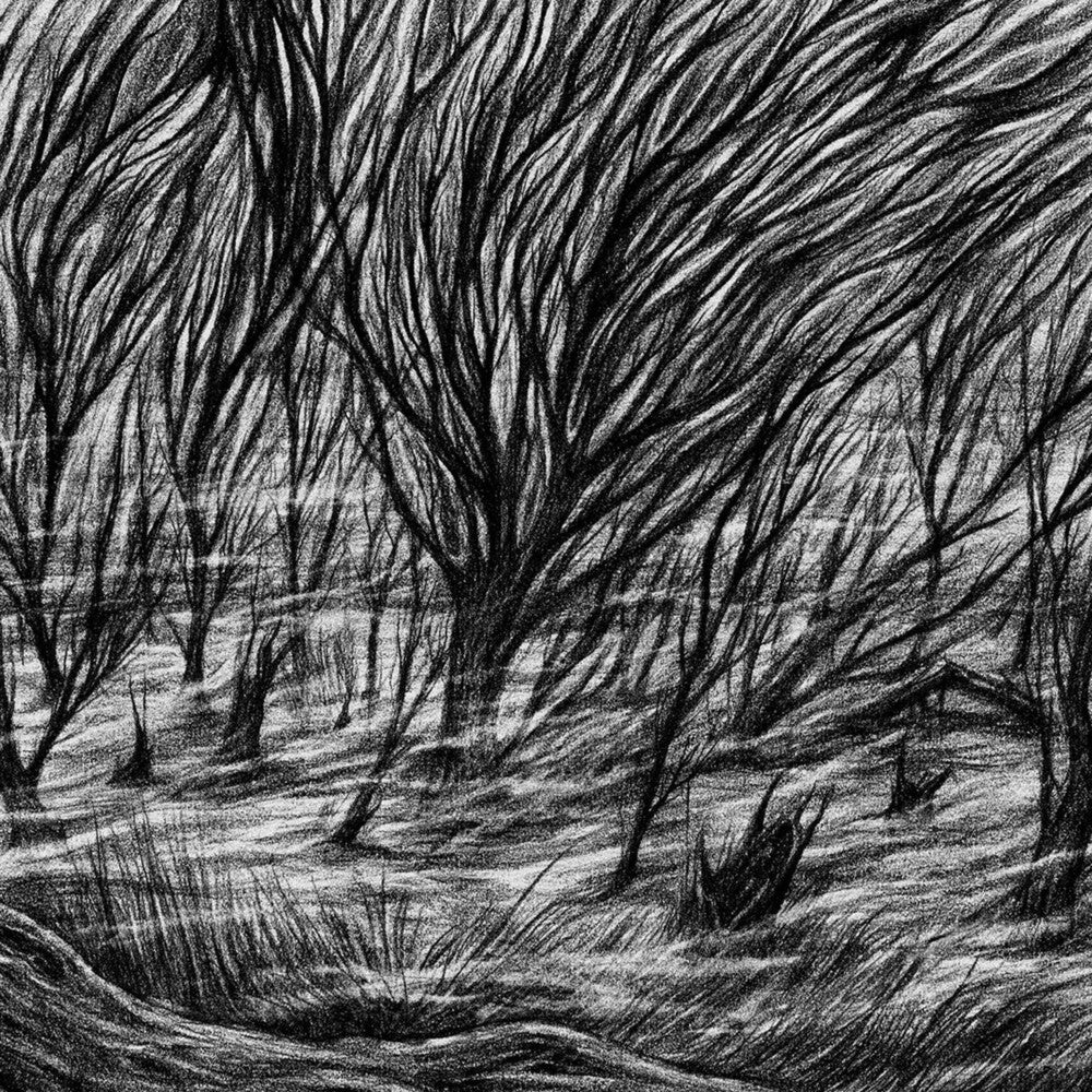 Bismuth - The Eternal Marshes [LP] Vinyl Record