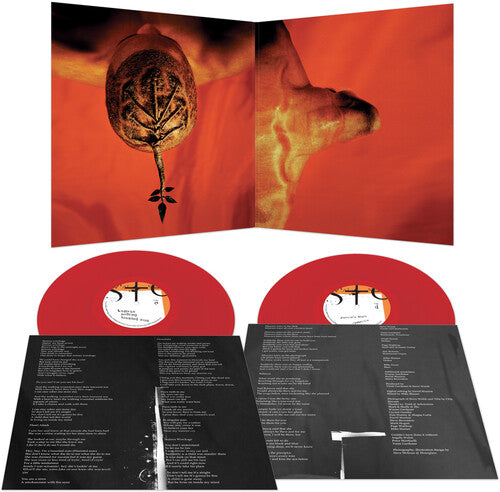 Steve Walsh - Glossolalia - Red Vinyl Record