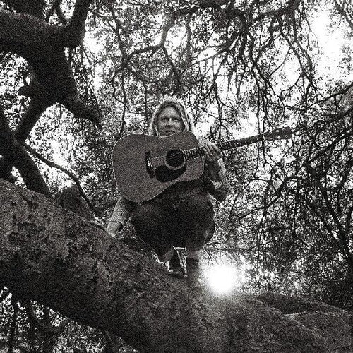 Ty Segall - Hello Hi Vinyl Record