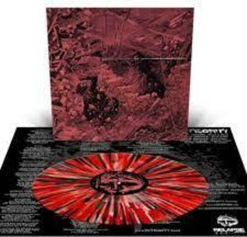 Integrity - Systems Overload Vinyl Record