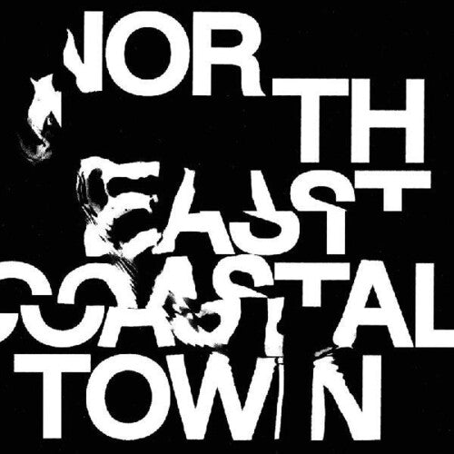 The Life - North East Coastal Town Vinyl Record